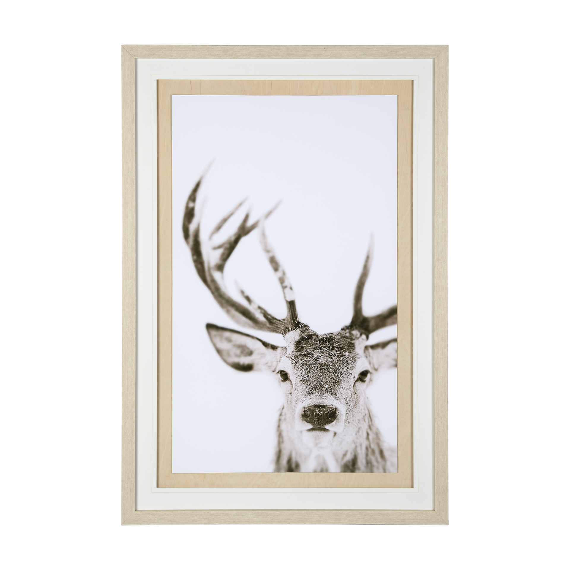 ciervo 1 by the studio a framed art print matted under glass