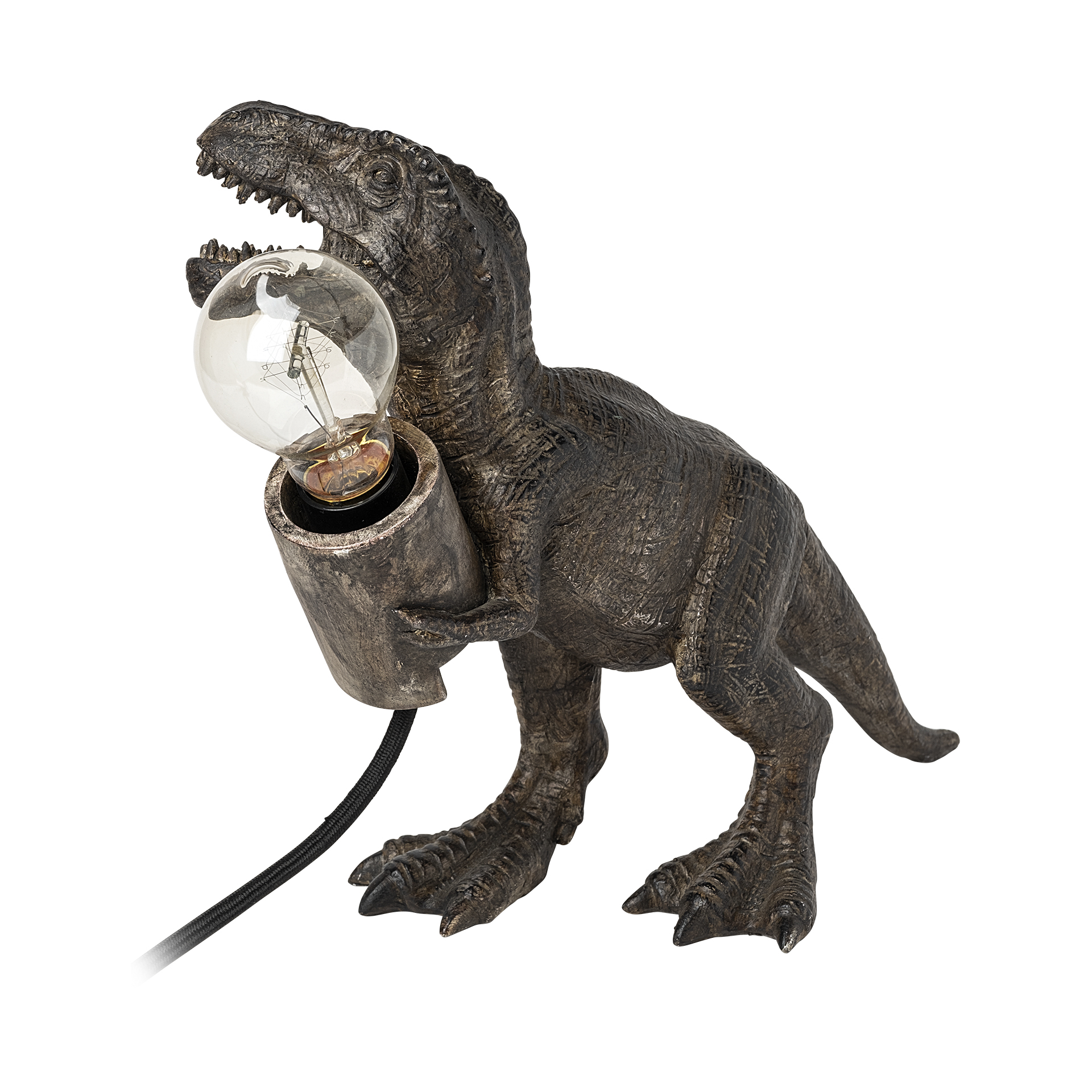 raptor (10.6