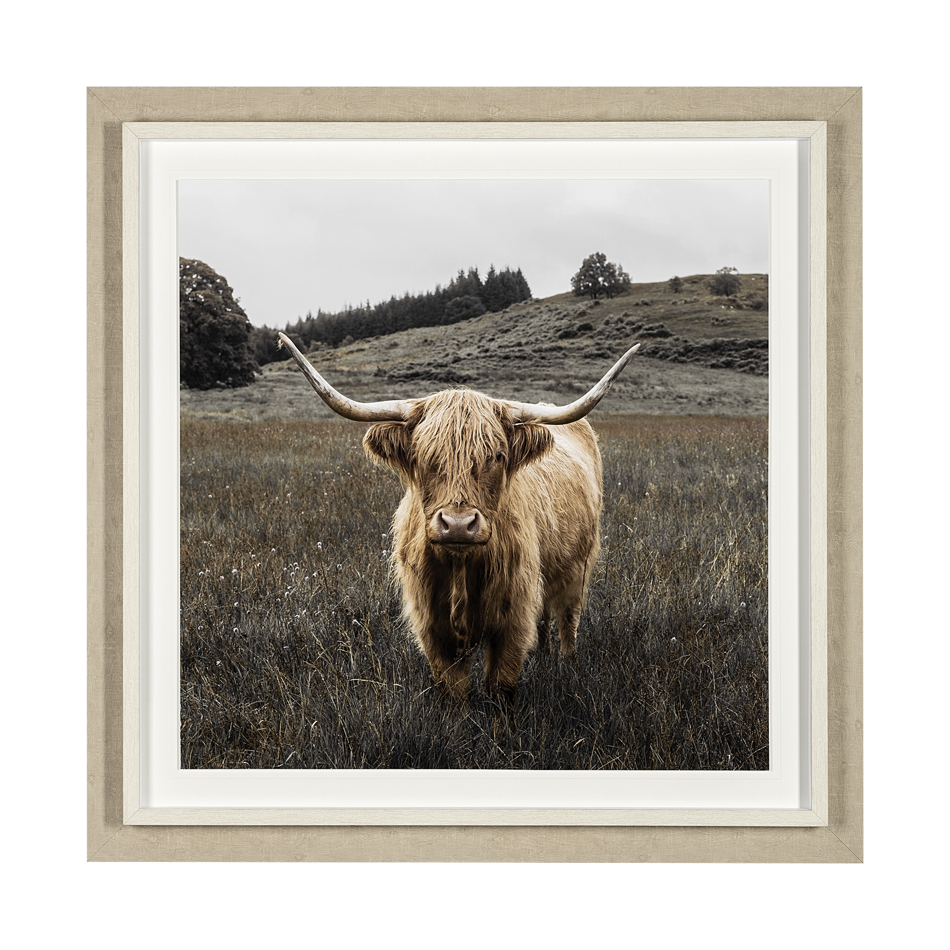 bernie by assaf frank a framed art print matted under glass