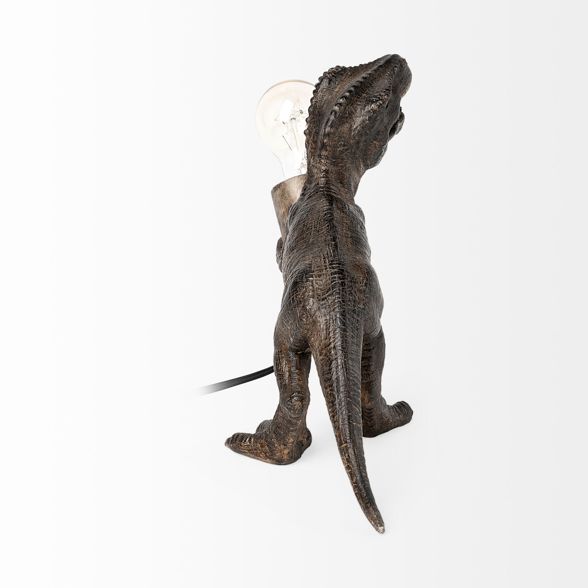 raptor (10.6