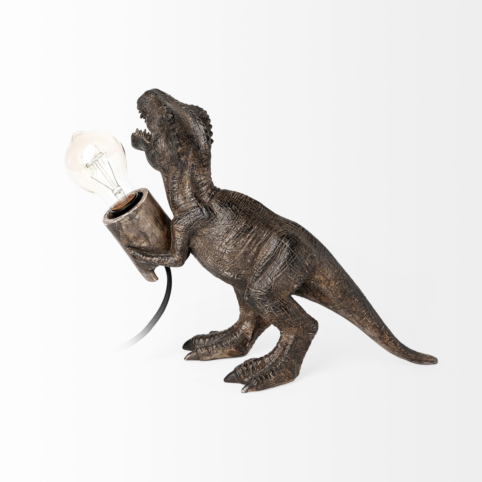 raptor (10.6