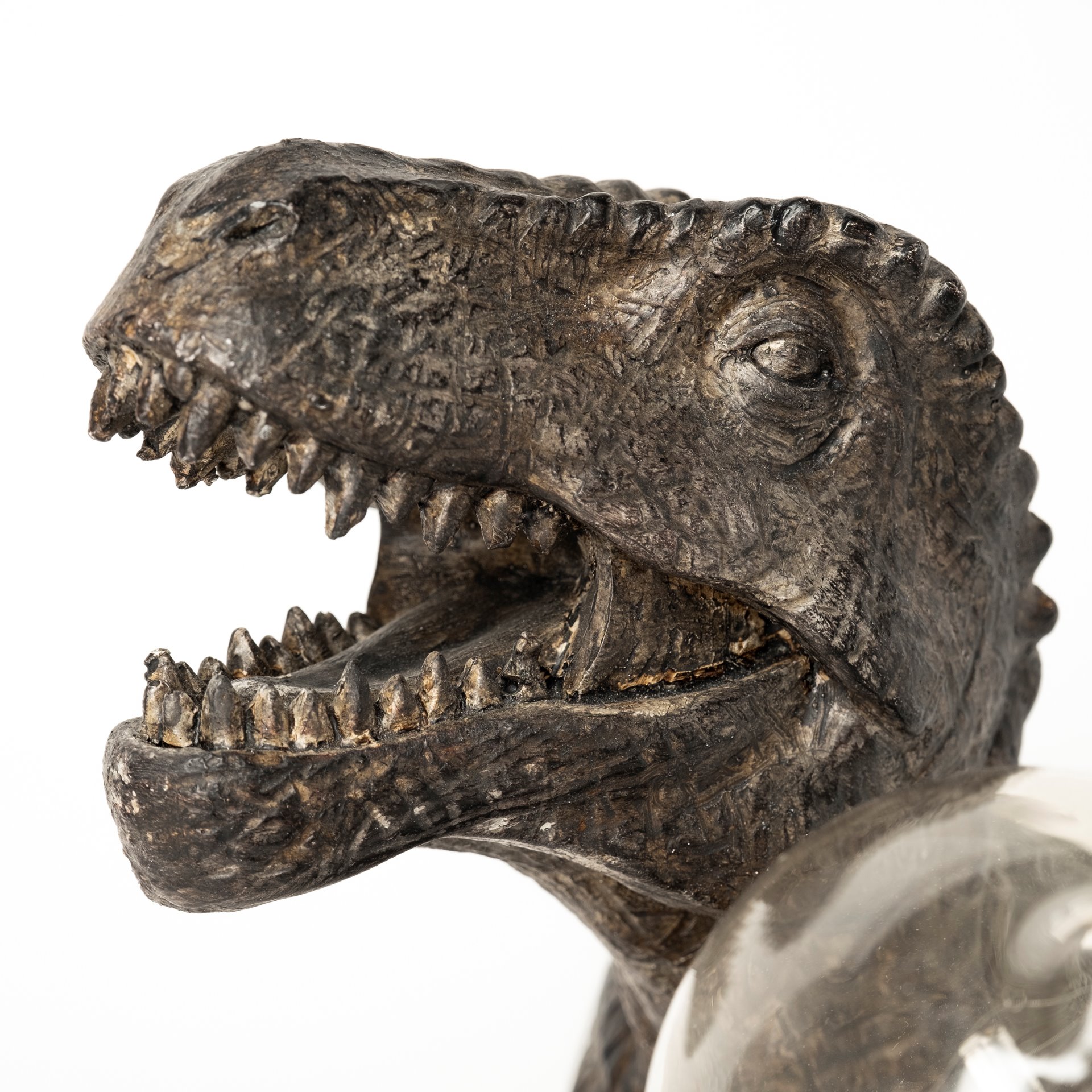 raptor (10.6