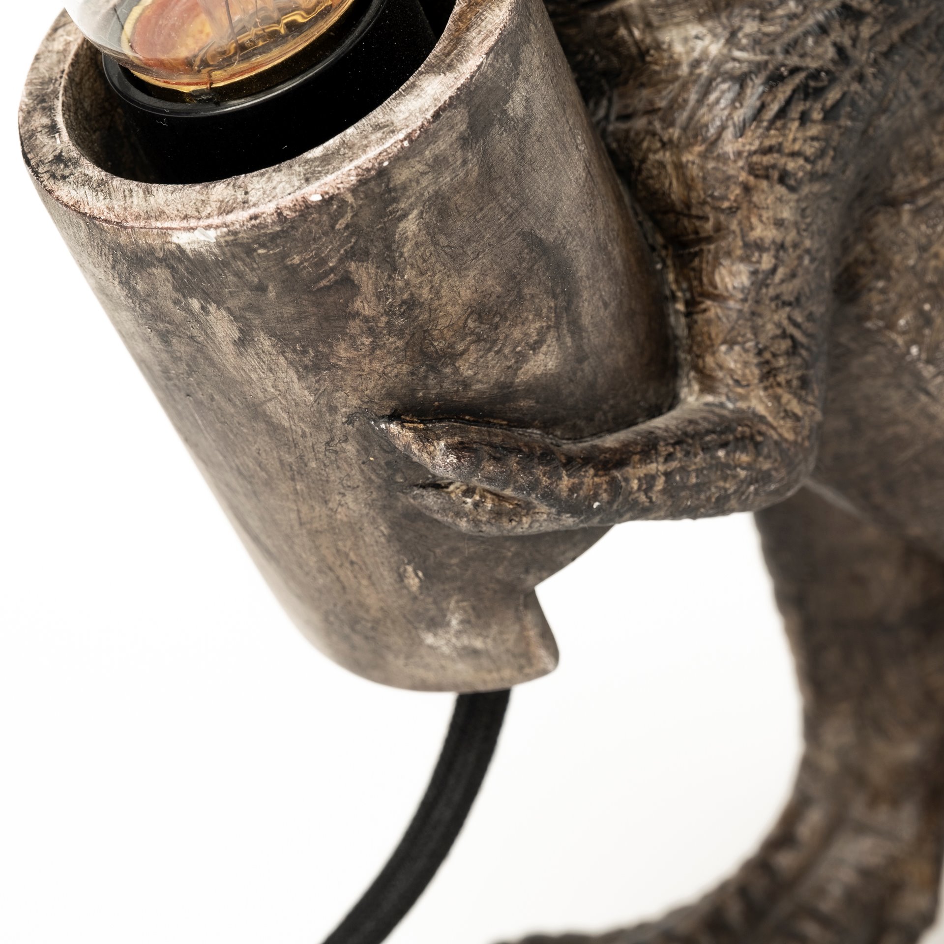 raptor (10.6