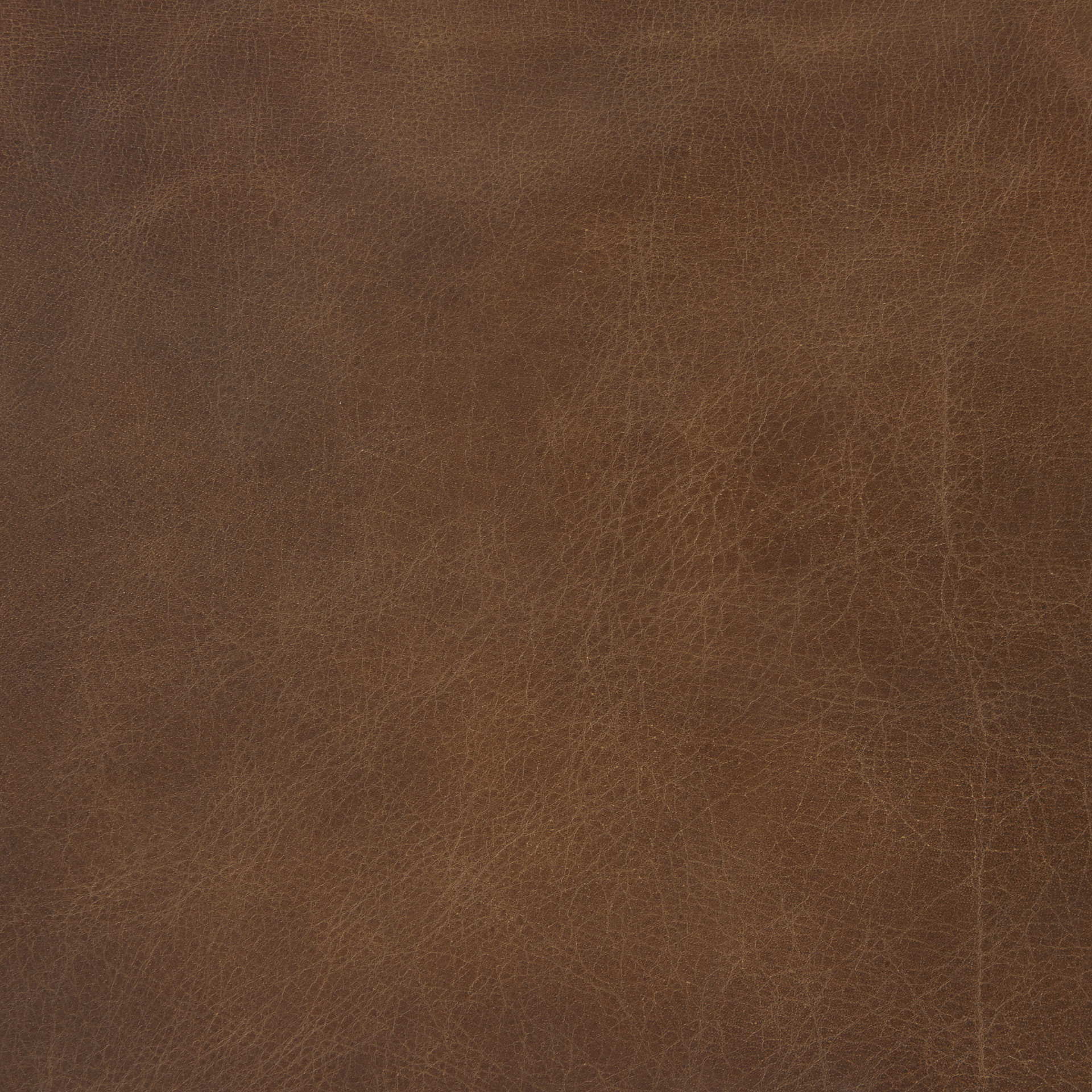 berbick 20.5 x 24.75 x 39 medium brown leather w/ iron frame counter stool