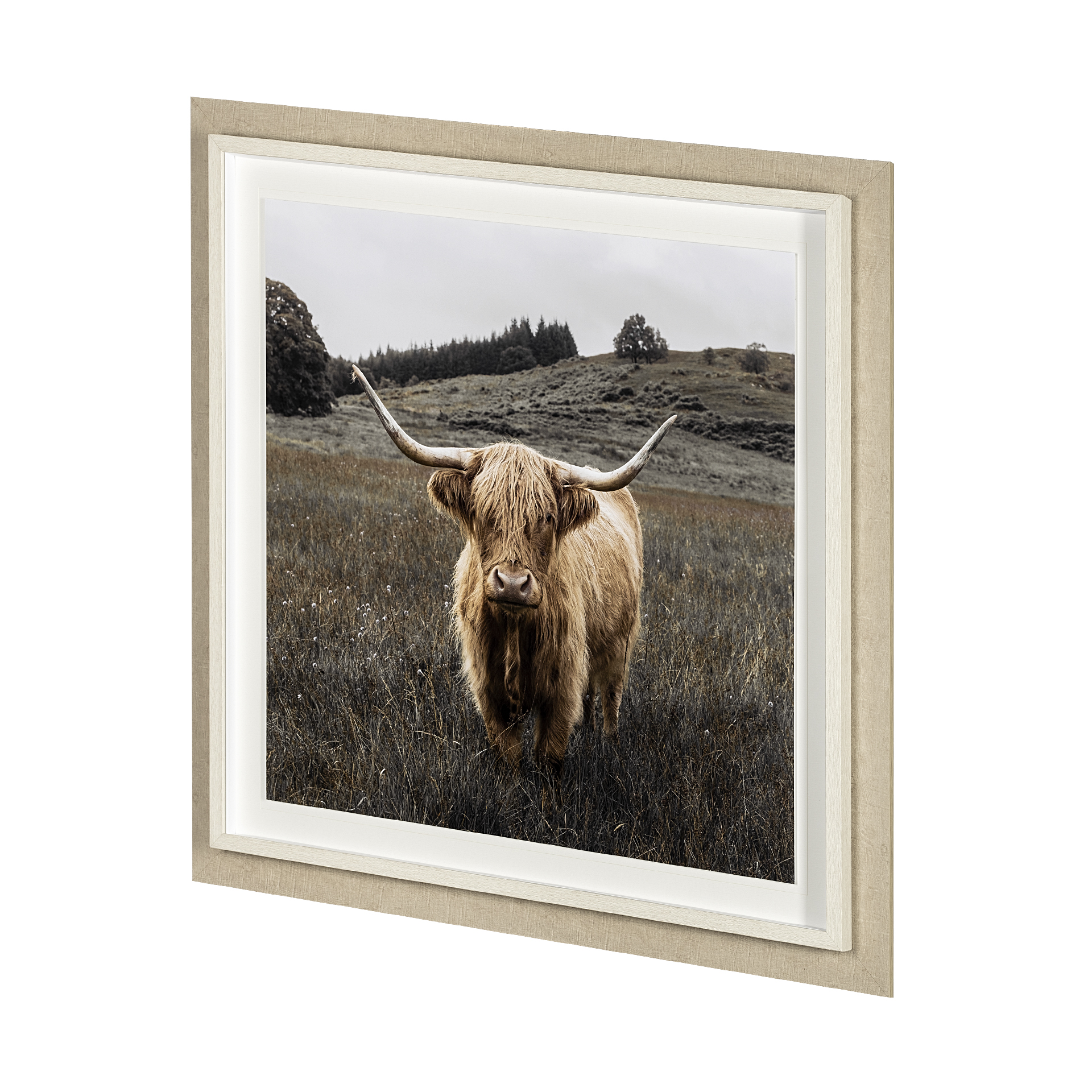 bernie by assaf frank a framed art print matted under glass