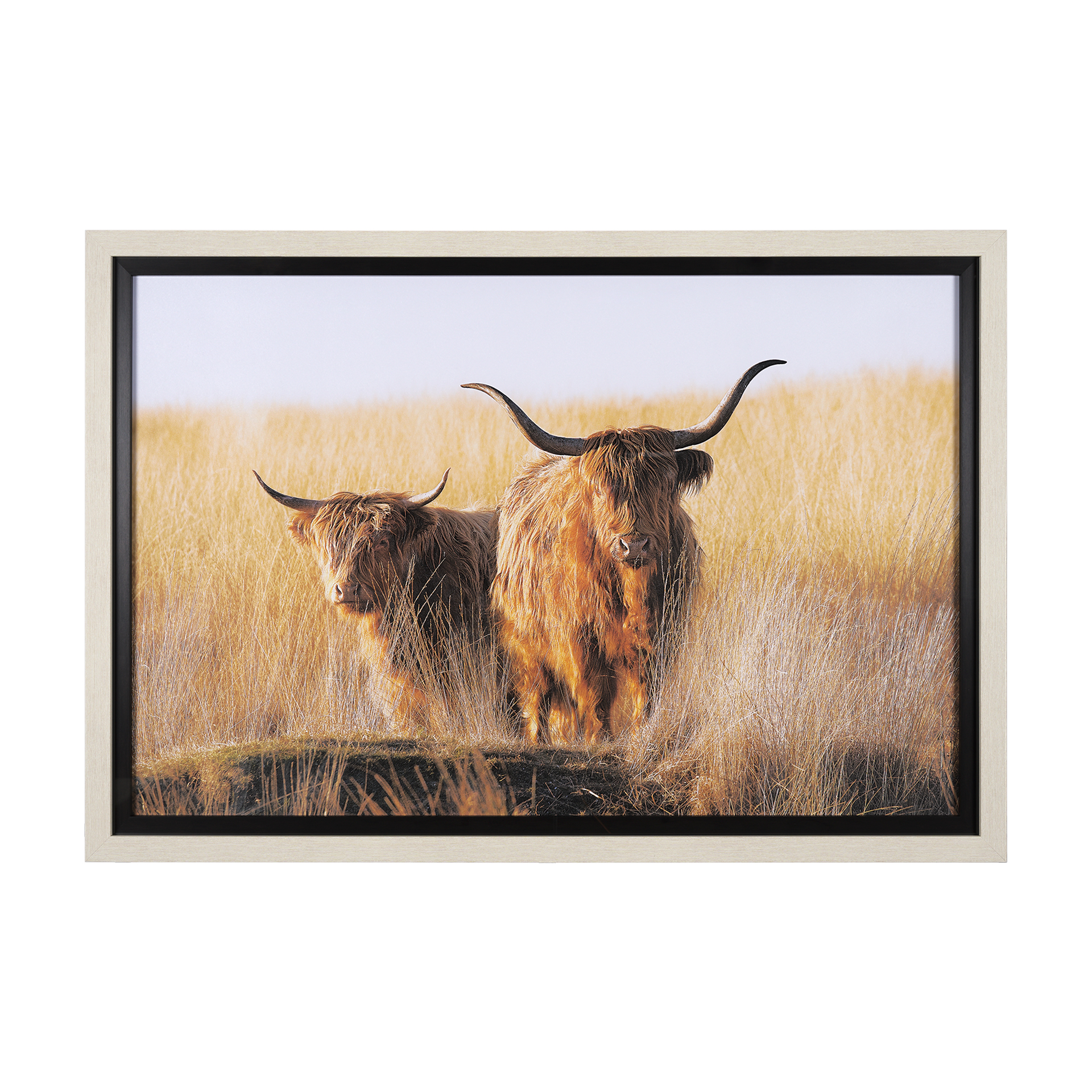 young and old highlander by mercana studio hand embelished framed art print matted under glass