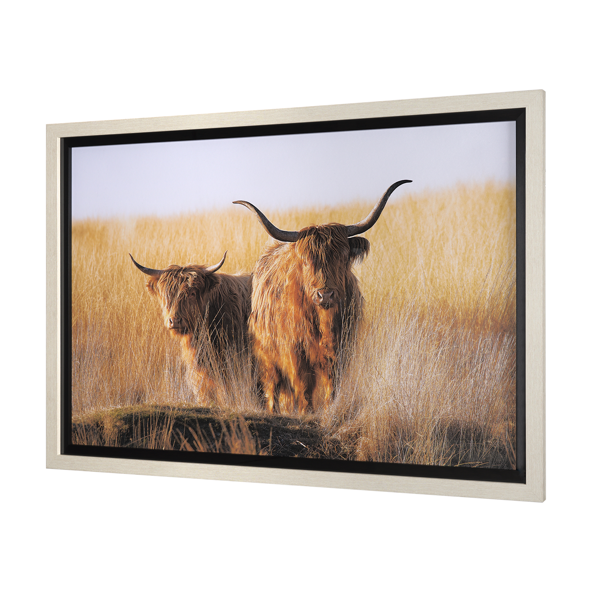 young and old highlander by mercana studio hand embelished framed art print matted under glass