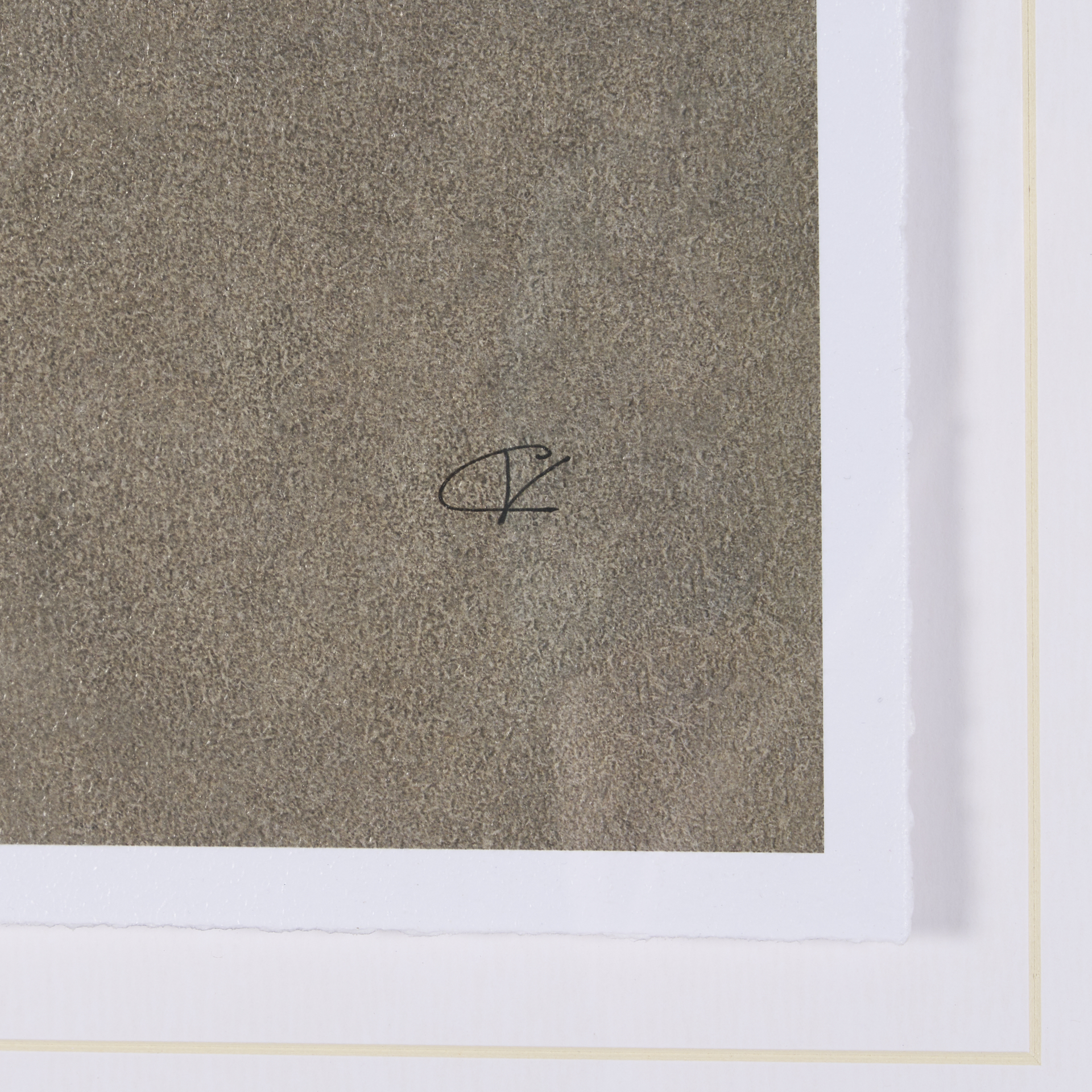 palomino blanket by mercana studio a hand embelished textured framed art print