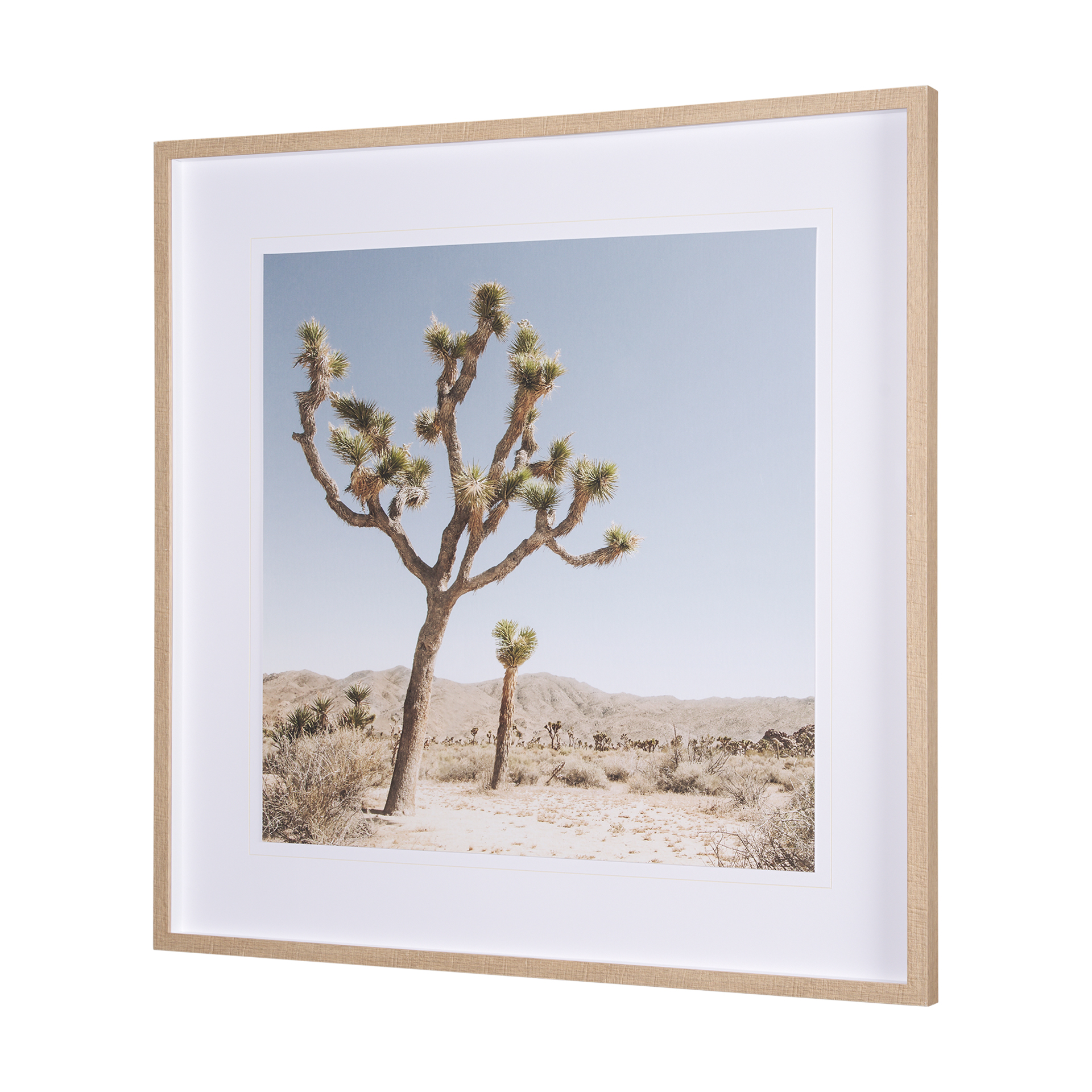 joshua tree 1 by the studio a framed art print matted under glass