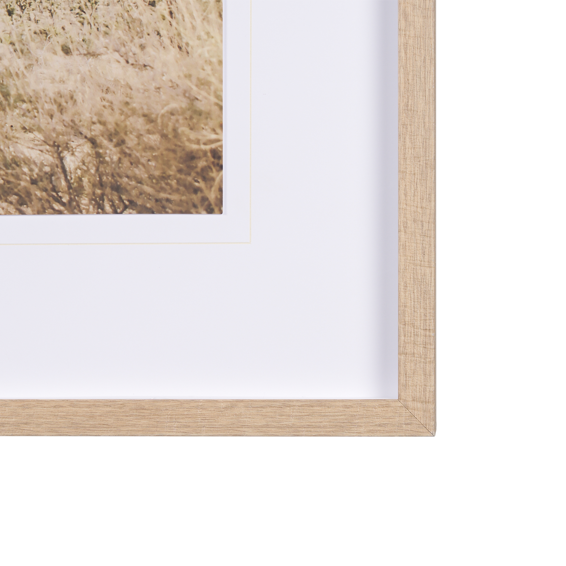 joshua tree 1 by the studio a framed art print matted under glass