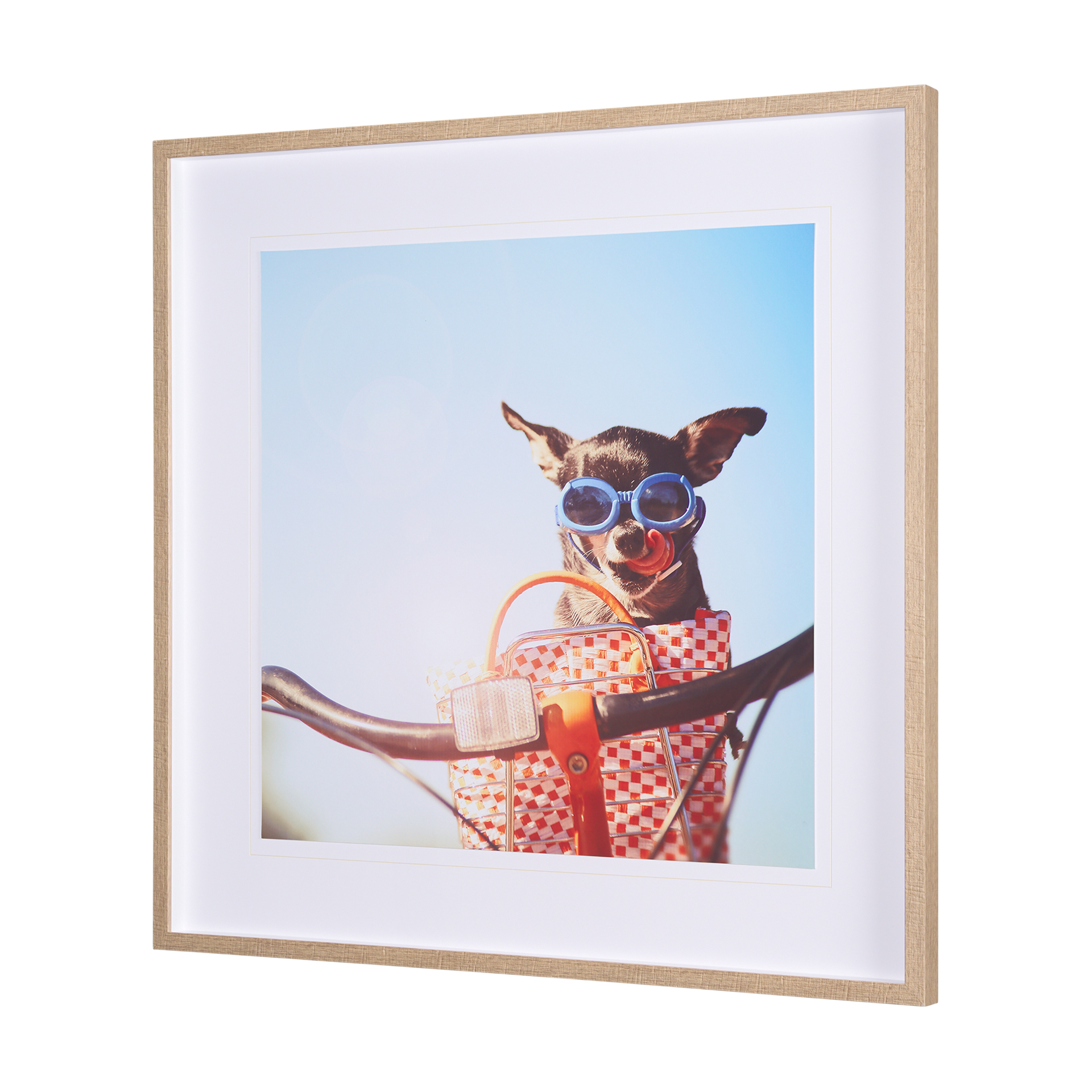retro chihuahua by the studio a framed art print matted under glass