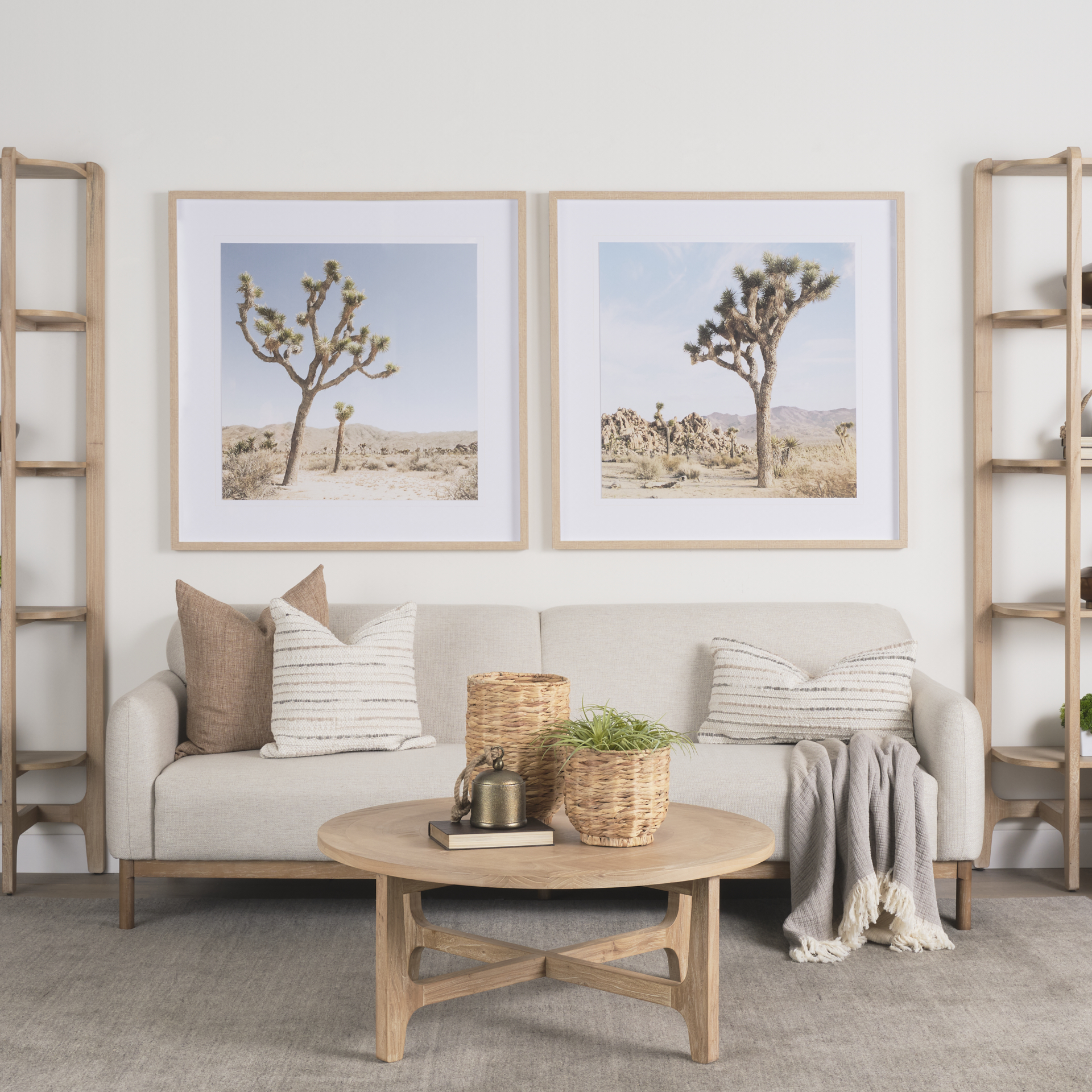 joshua tree 1 by the studio a framed art print matted under glass