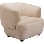Velvet Accent Chair with Birch Legs and Armrest Support 17 Velvet Accent Chair with Birch Legs and Armrest Support