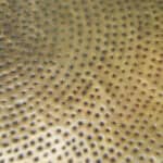Round Gold Boho Coffee Table with Steel Frame 16 Round Gold Boho Coffee Table with Steel Frame