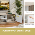 Modern 63 Inch TV Stand with Push-to-Open Cabinet 9 Modern 63 Inch TV Stand with Push-to-Open Cabinet