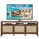 Rattan Door TV Stand with Storage for TVs up to 65 Inch