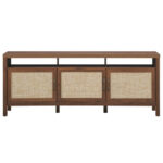 Rattan Door TV Stand with Storage for TVs up to 65 Inch