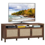 Rattan Door TV Stand with Storage for TVs up to 65 Inch