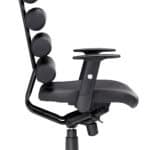 Ergonomic High-Back Office Chair with Adjustable Arms and Lumbar Support 12 Ergonomic High-Back Office Chair with Adjustable Arms and Lumbar Support