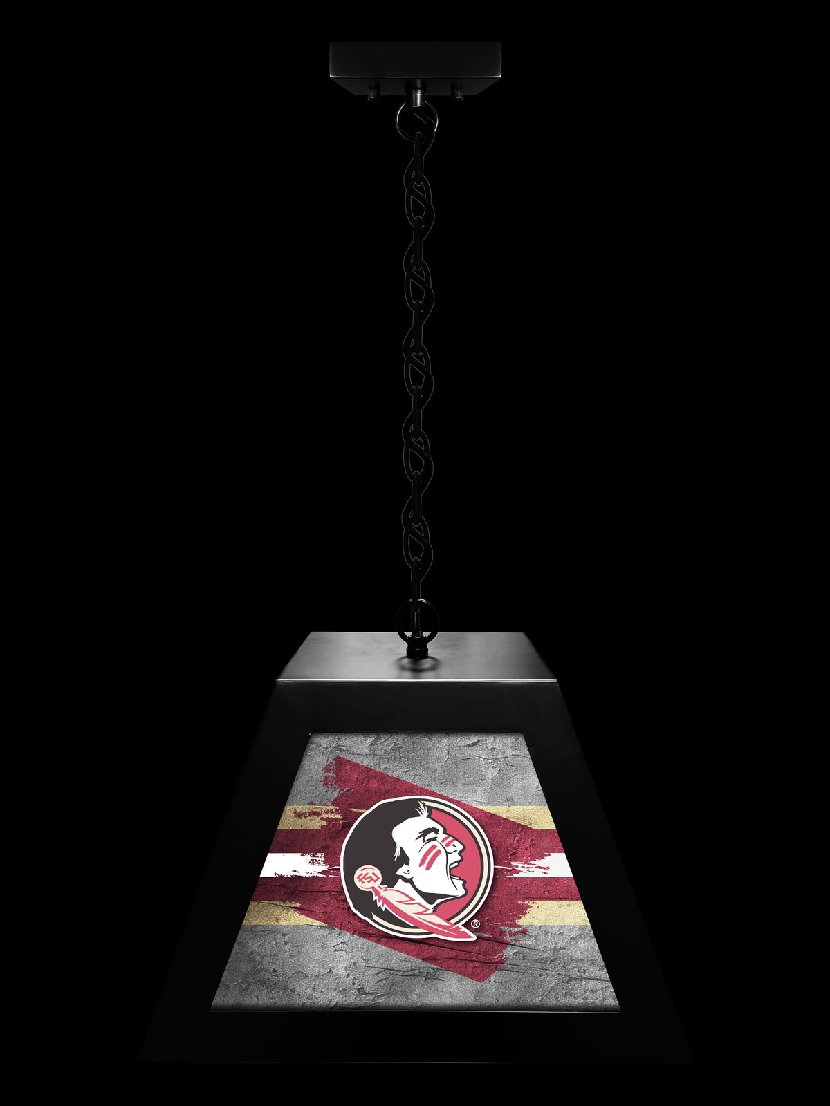 Florida State University Pendant Box Light 3 Florida State University Pendant Box Light - Image 3