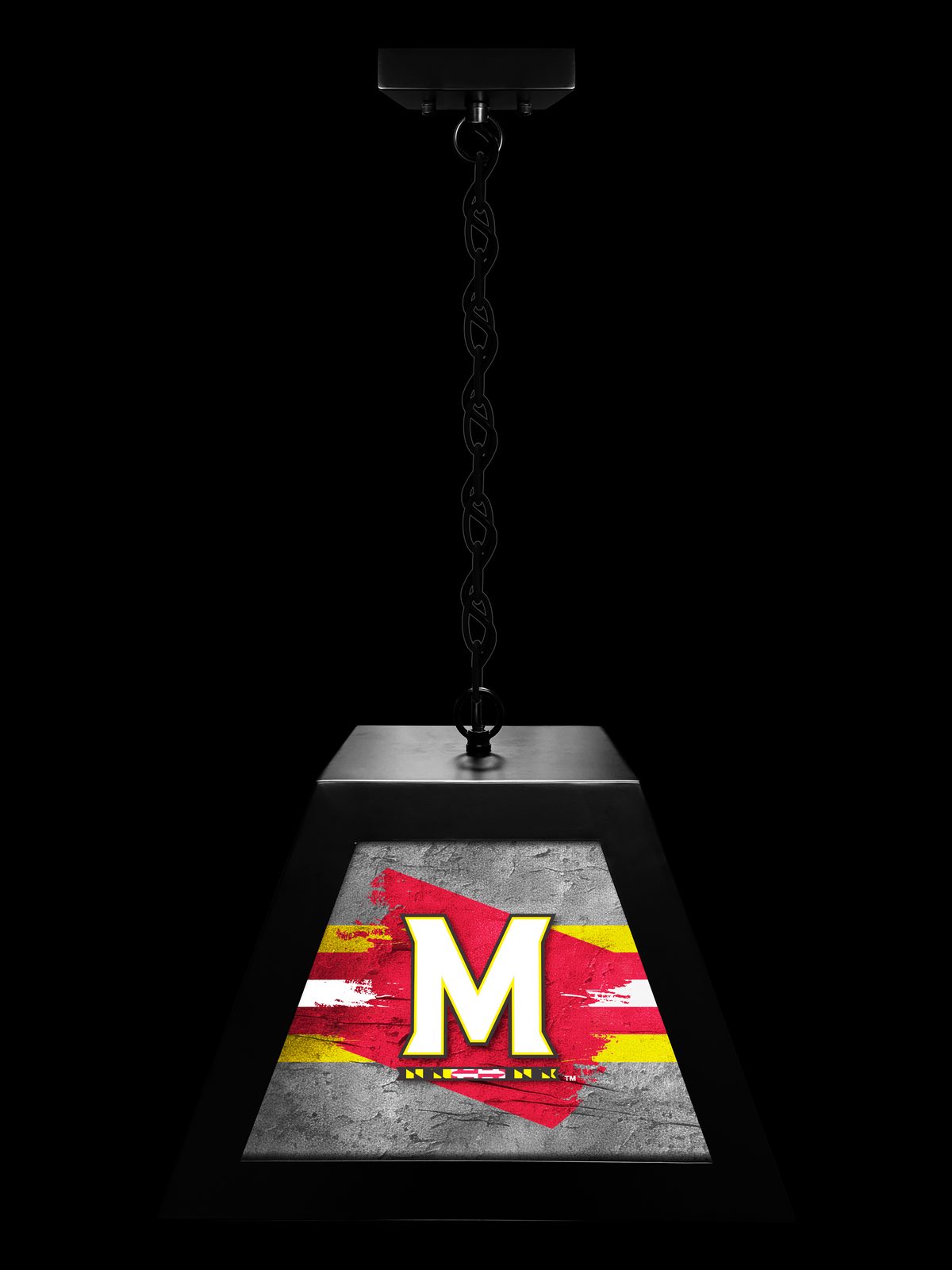 University of Maryland Pendant Box Light 3 University of Maryland Pendant Box Light - Image 3