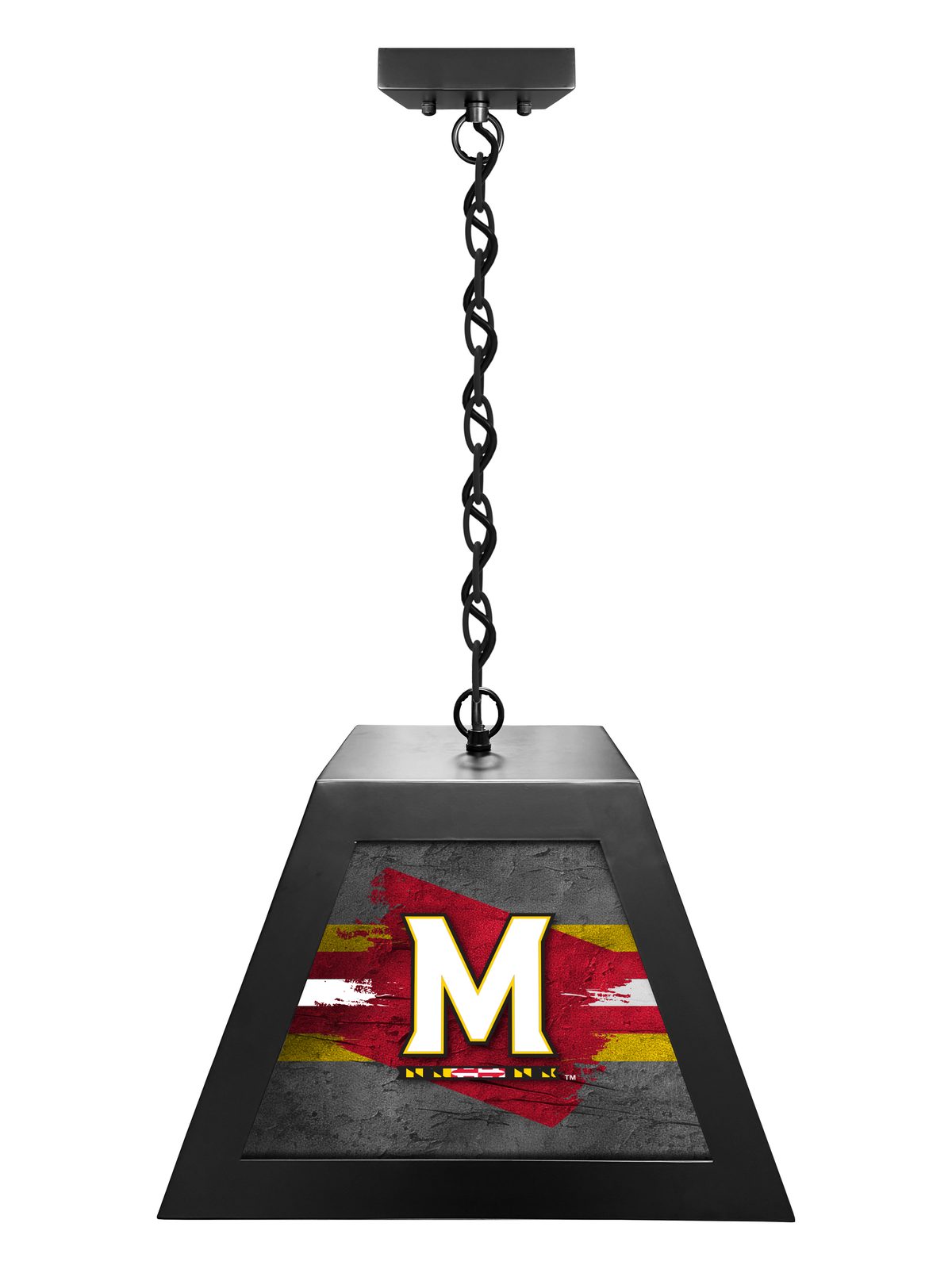 University of Maryland Pendant Box Light 1 University of Maryland Pendant Box Light