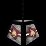 Texas State University Pendant Box Light 8 Texas State University Pendant Box Light