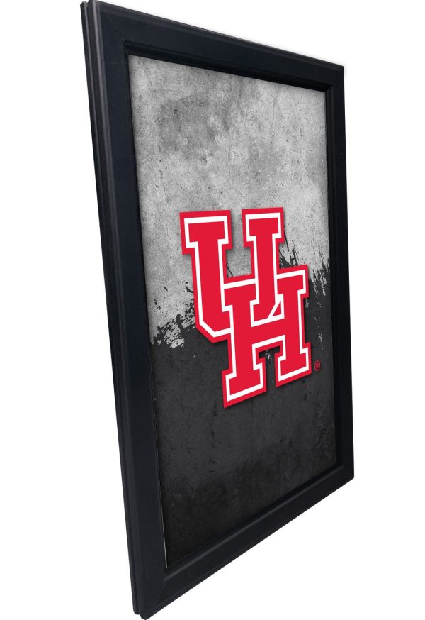 LBSnapHouston 2