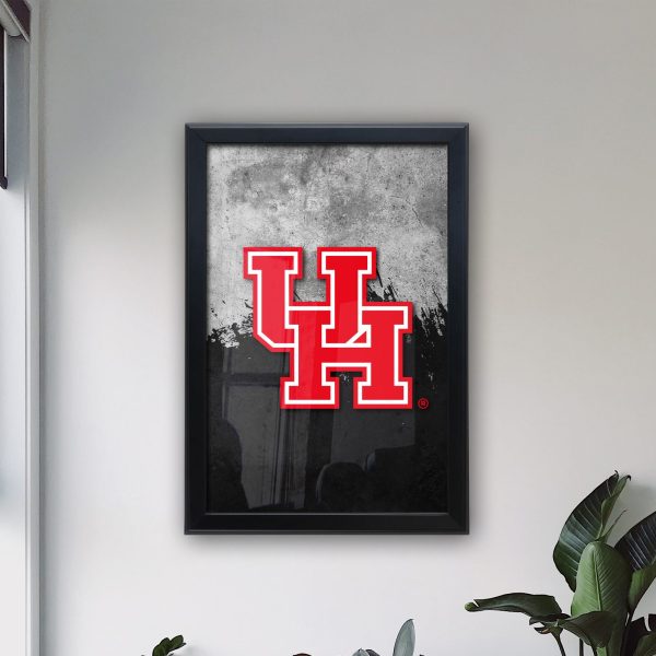 LBSnapHouston 3