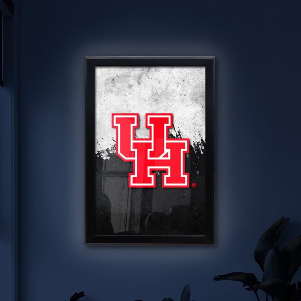 LBSnapHouston 4