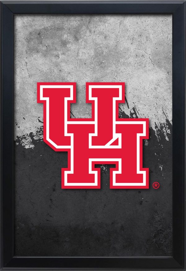 LBSnapHouston