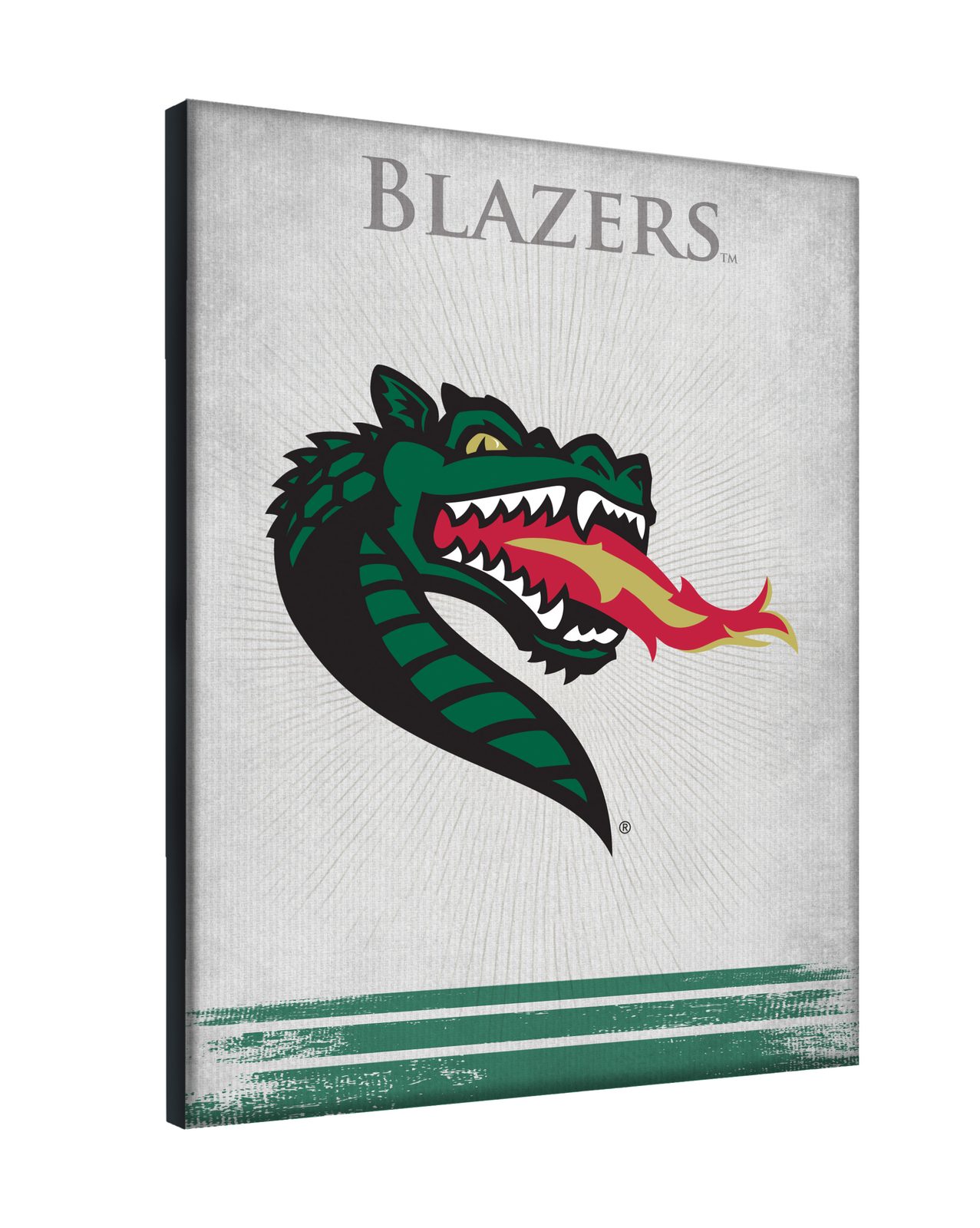University of Alabama at Birmingham 24x32 Logo Canvas Wall Art 2 University of Alabama at Birmingham 24x32 Logo Canvas Wall Art - Image 2