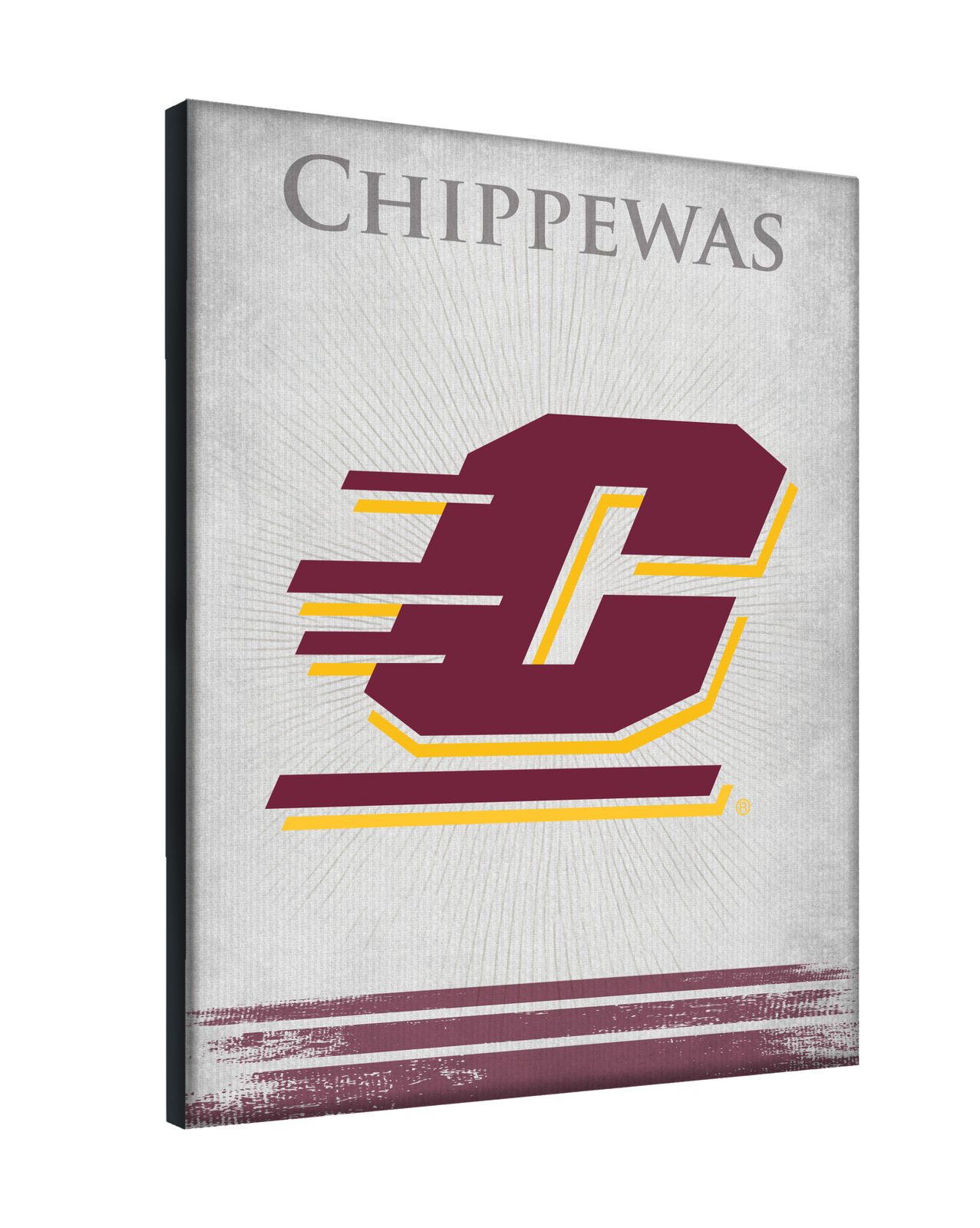 Central Michigan University 24x32 Logo Canvas Wall Art 2 Central Michigan University 24x32 Logo Canvas Wall Art - Image 2