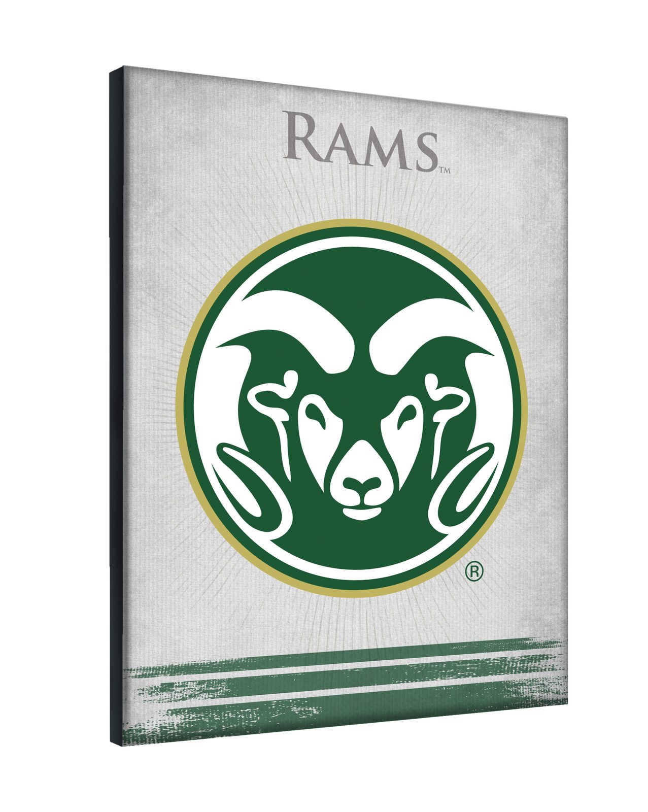 Colorado State University 24x32 Logo Canvas Wall Art 2 Colorado State University 24x32 Logo Canvas Wall Art - Image 2