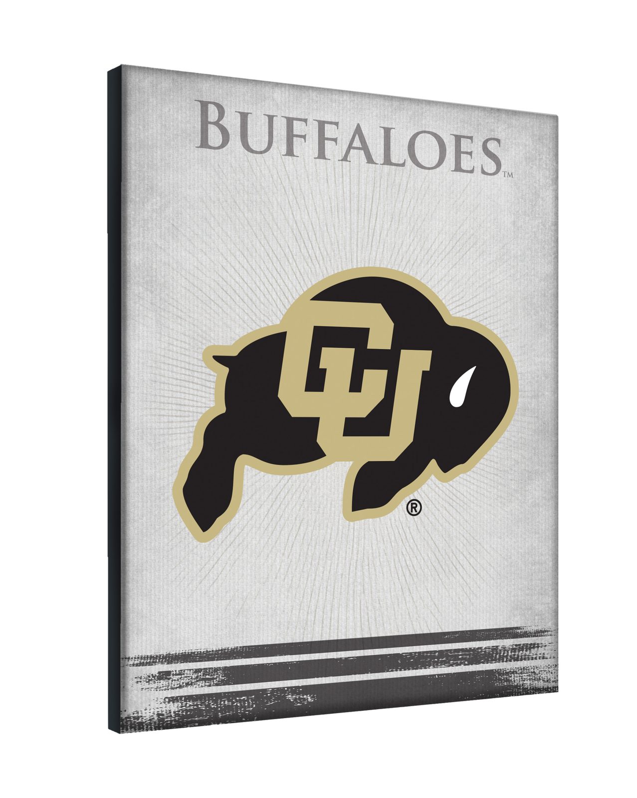 University of Colorado 24x32 Logo Canvas Wall Art 2 University of Colorado 24x32 Logo Canvas Wall Art - Image 2