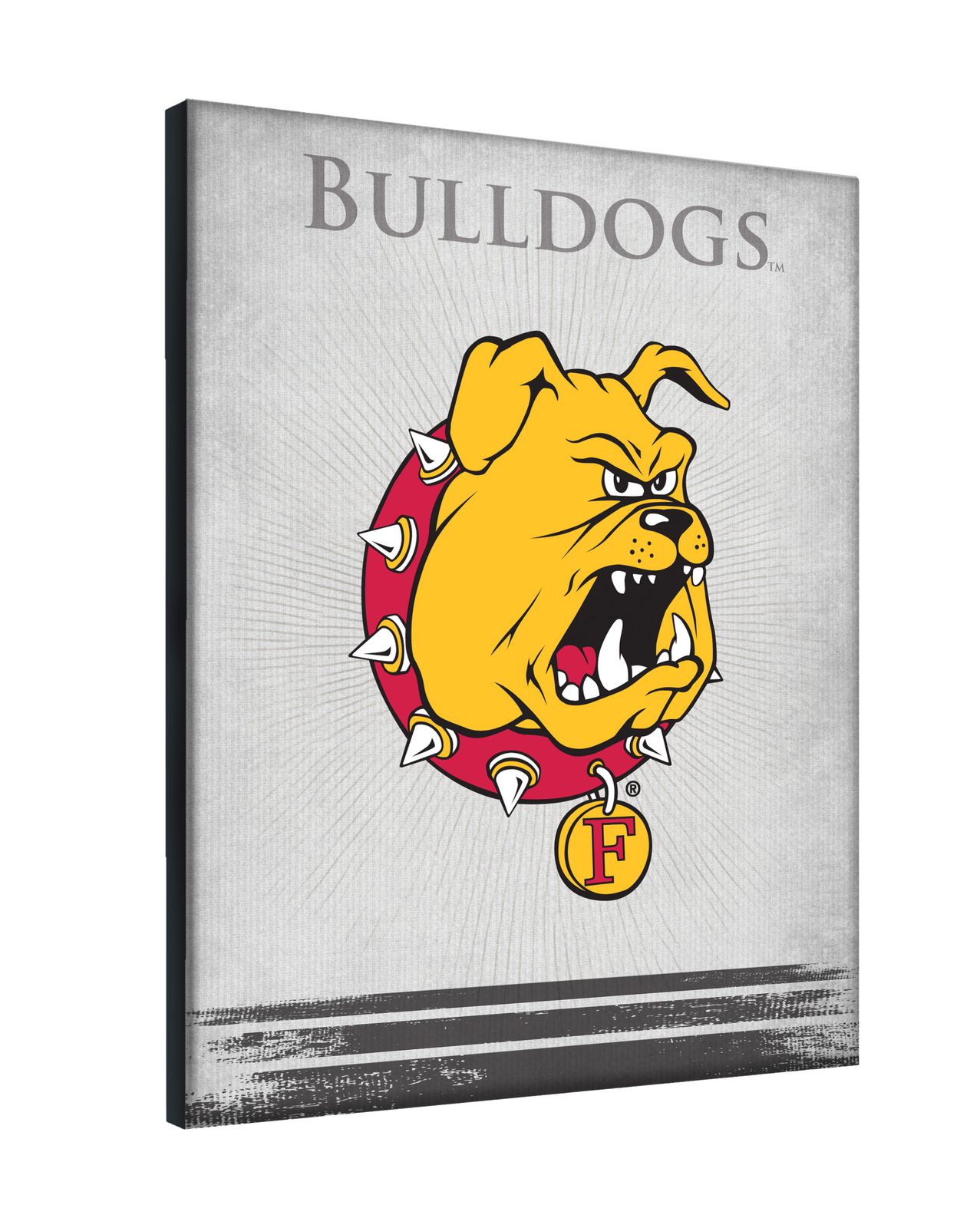 Ferris State University 24x32 Logo Canvas Wall Art 2 Ferris State University 24x32 Logo Canvas Wall Art - Image 2