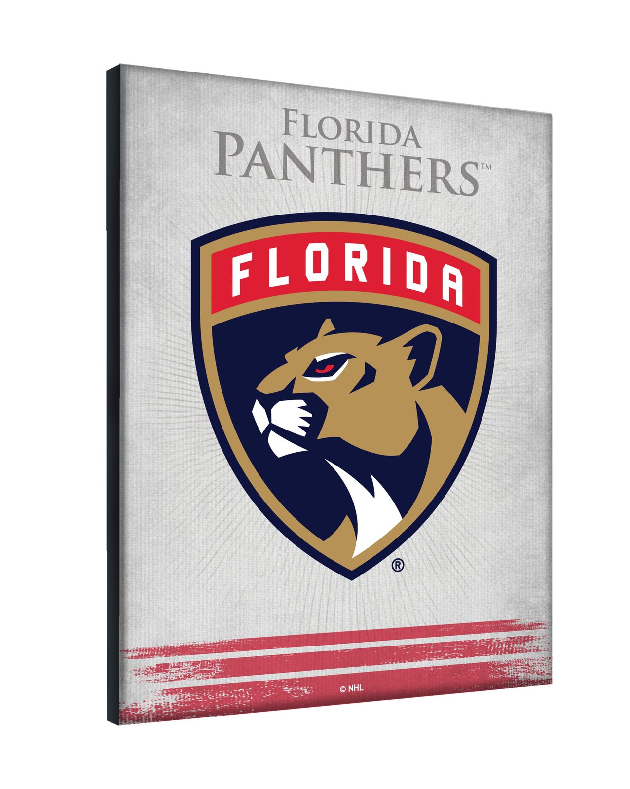 Florida Panthers 24x32 Logo Canvas Wall Art 2 Florida Panthers 24x32 Logo Canvas Wall Art - Image 2