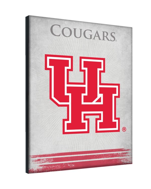 LCnvsHouston 2