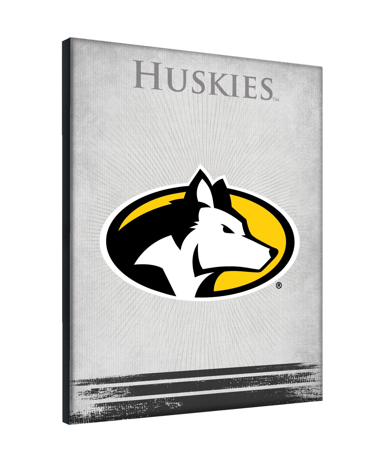 Michigan Tech University 15x20 Logo Canvas Wall Art 2 Michigan Tech University 15x20 Logo Canvas Wall Art - Image 2