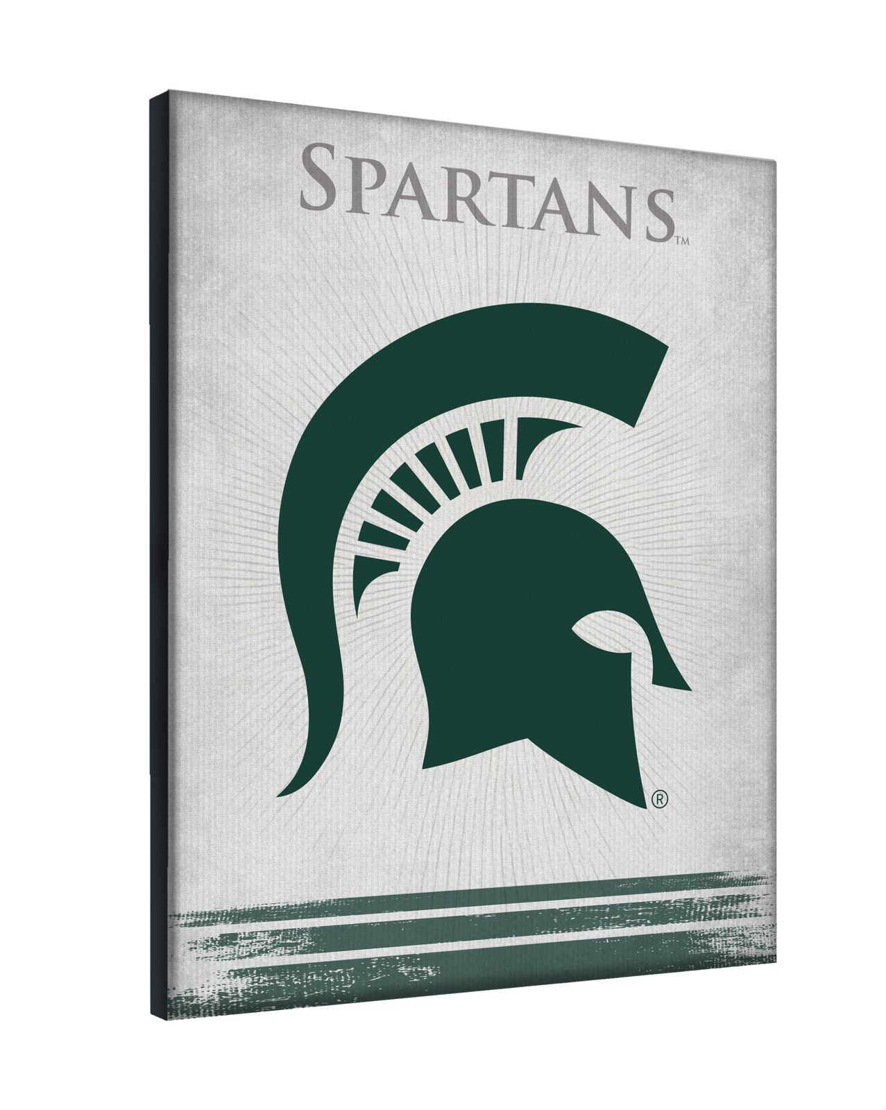 Michigan State University 15x20 Logo Canvas Wall Art 2 Michigan State University 15x20 Logo Canvas Wall Art - Image 2