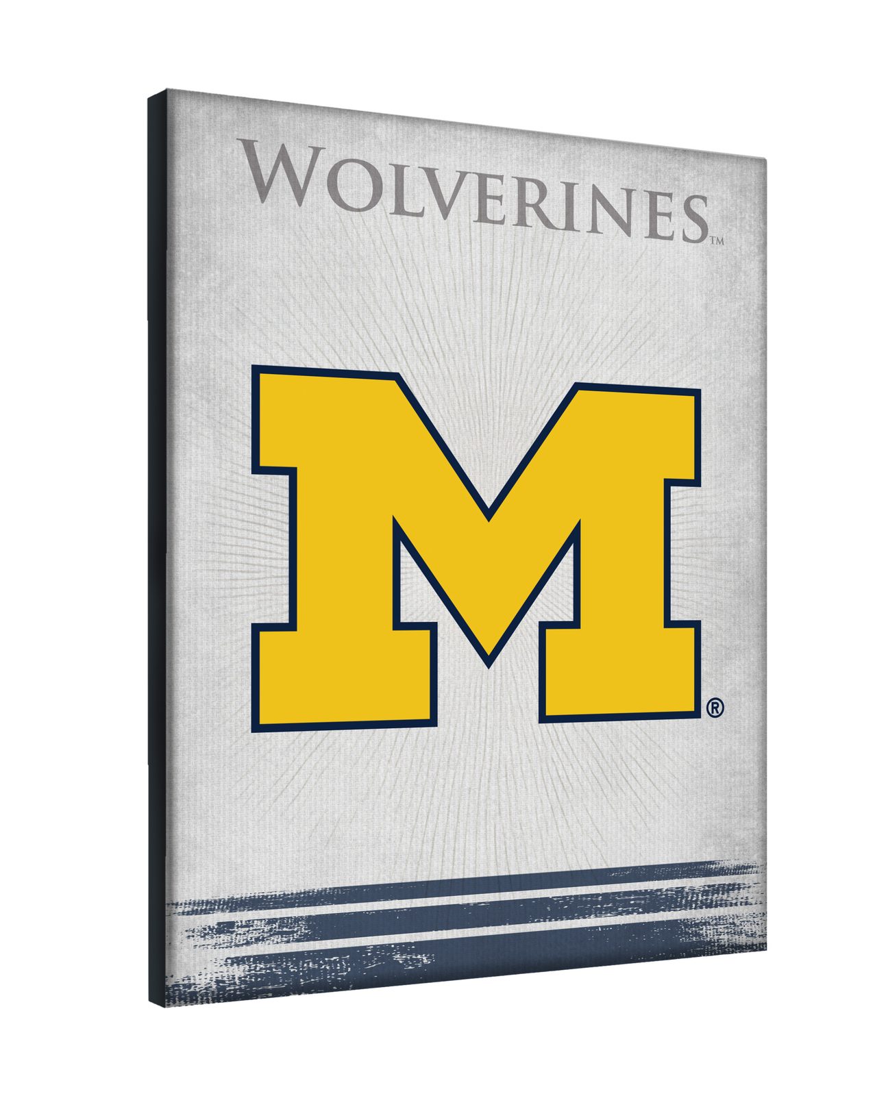 University of Michigan 24x32 Logo Canvas Wall Art 2 University of Michigan 24x32 Logo Canvas Wall Art - Image 2