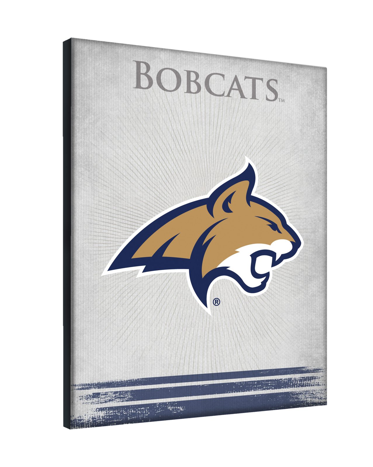Montana State University 15x20 Logo Canvas Wall Art 2 Montana State University 15x20 Logo Canvas Wall Art - Image 2