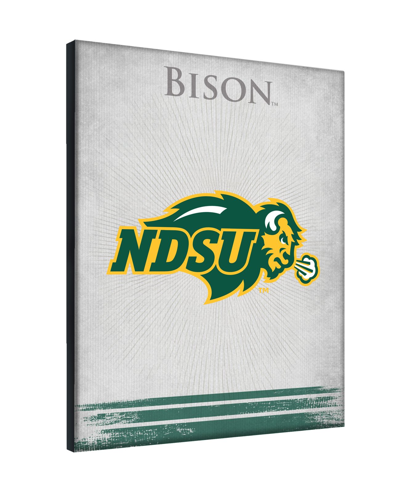 North Dakota State University 15x20 Logo Canvas Wall Art 2 North Dakota State University 15x20 Logo Canvas Wall Art - Image 2