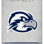 University of North Florida 15x20 Logo Canvas Wall Art 3 University of North Florida 15x20 Logo Canvas Wall Art