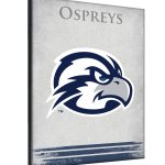 University of North Florida 15x20 Logo Canvas Wall Art 4 University of North Florida 15x20 Logo Canvas Wall Art