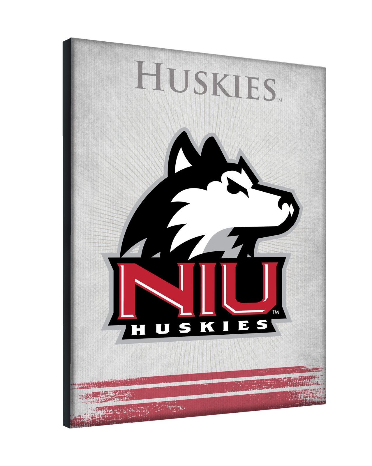 University of Northern Illinois 24x32 Logo Canvas Wall Art 2 University of Northern Illinois 24x32 Logo Canvas Wall Art - Image 2