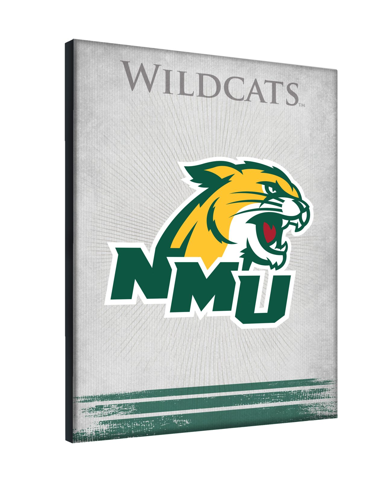 Northern Michigan University 24x32 Logo Canvas Wall Art 2 Northern Michigan University 24x32 Logo Canvas Wall Art - Image 2