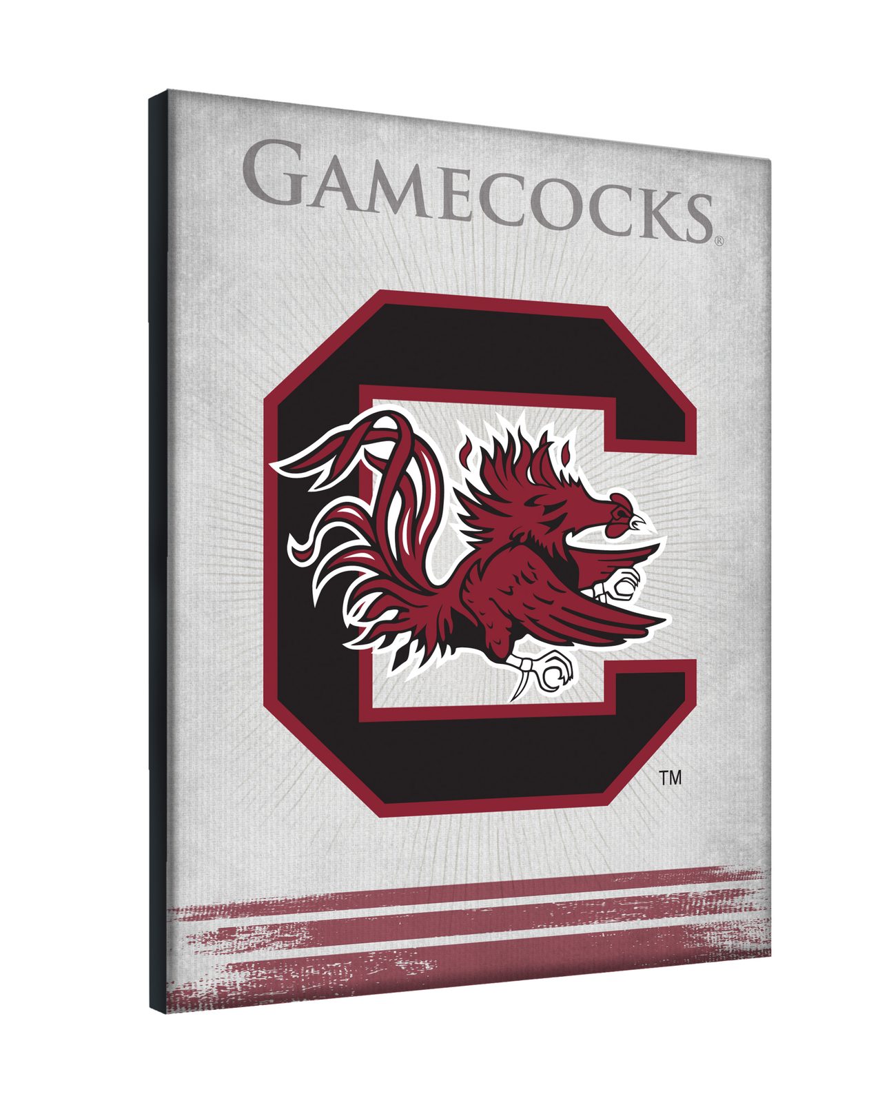 University of South Carolina 15x20 Logo Canvas Wall Art 2 University of South Carolina 15x20 Logo Canvas Wall Art - Image 2