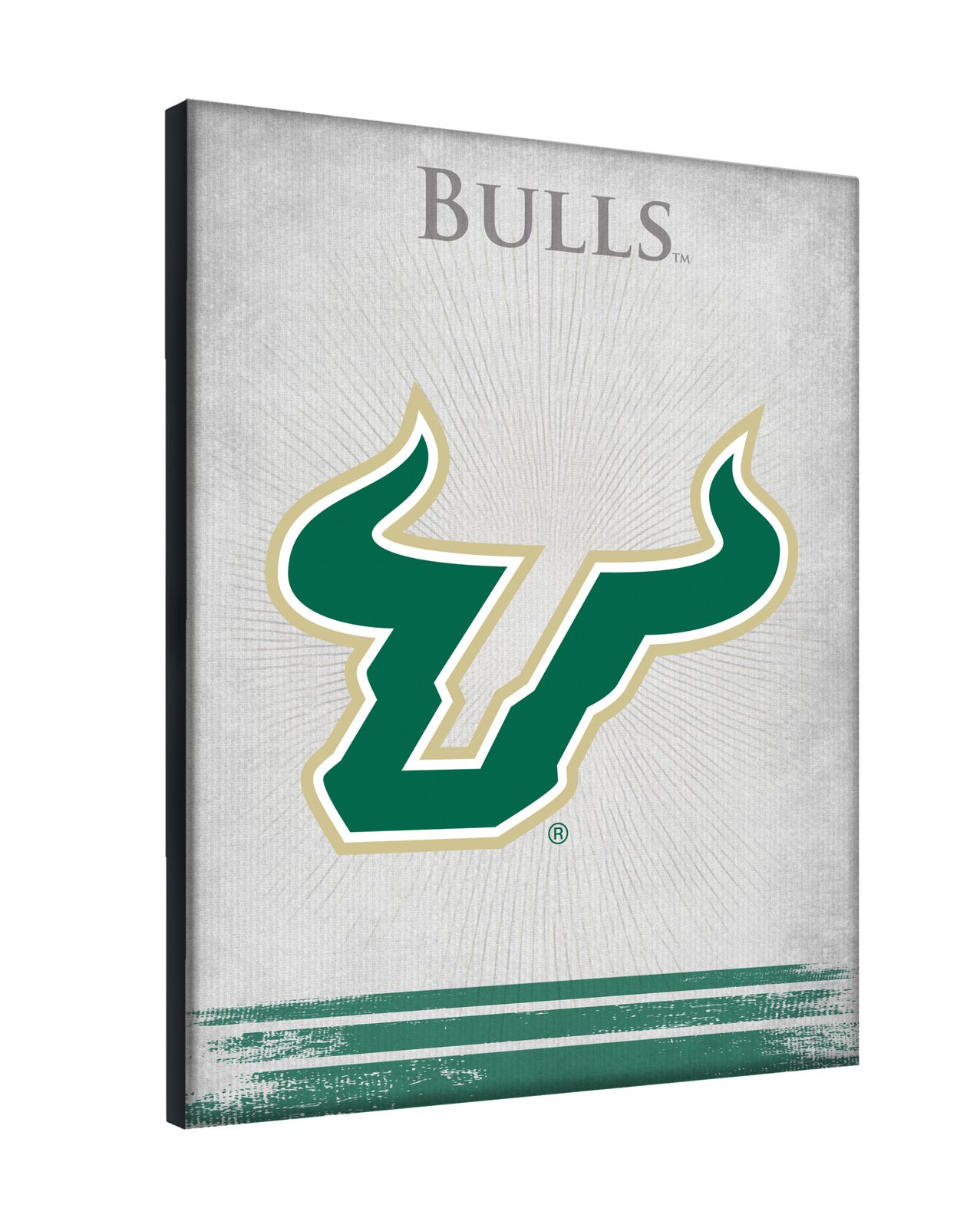 University of South Florida 24x32 Logo Canvas Wall Art 2 University of South Florida 24x32 Logo Canvas Wall Art - Image 2