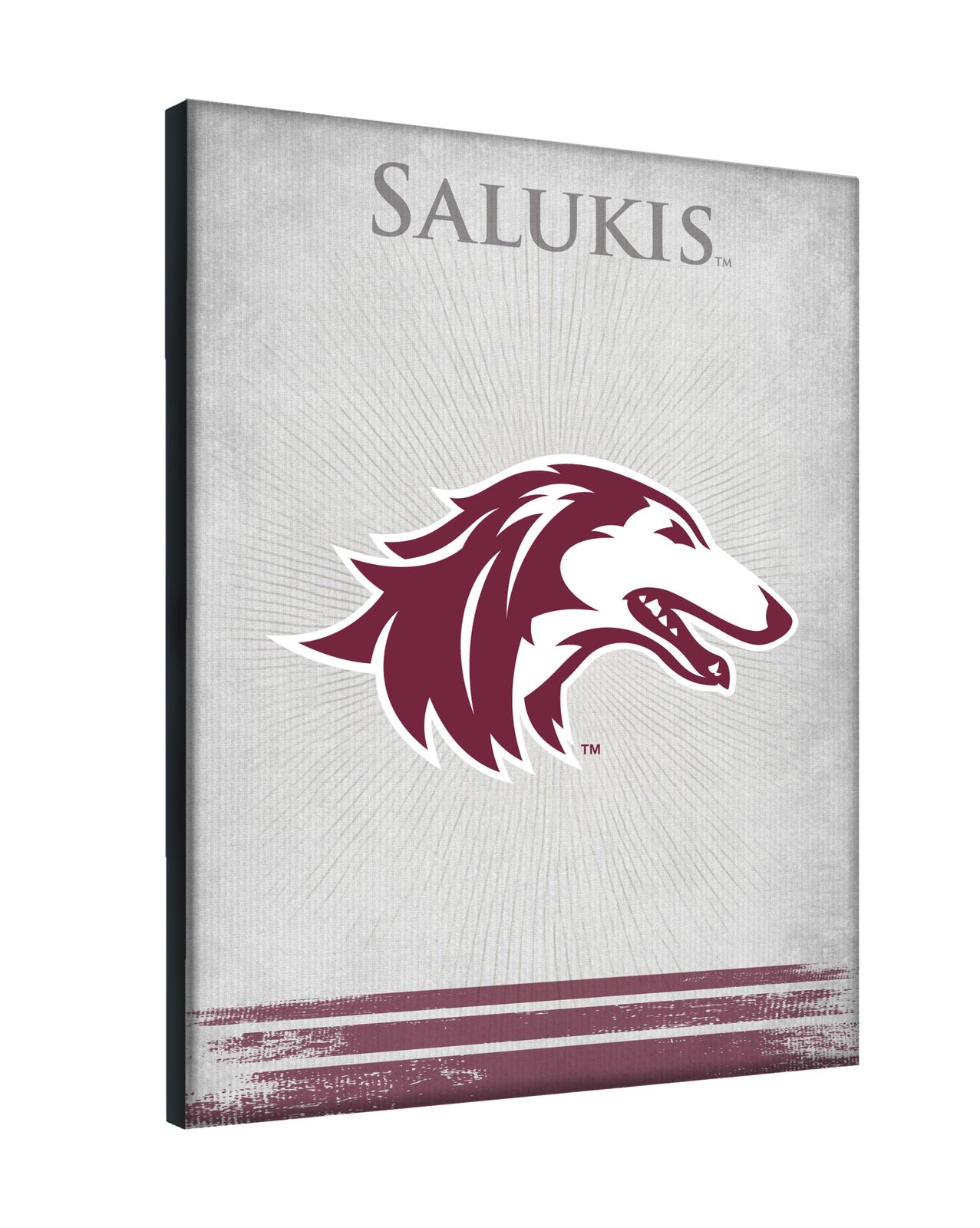 Southern Illinois University 15x20 Logo Canvas Wall Art 2 Southern Illinois University 15x20 Logo Canvas Wall Art - Image 2